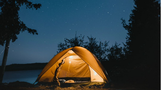 Sydney's Best Camping Sites 🏕️