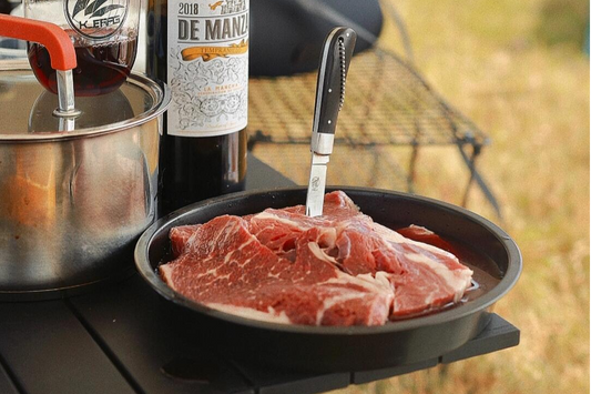 Australian camping classic food: campfire grilled Australian steak with grilled vegetables!