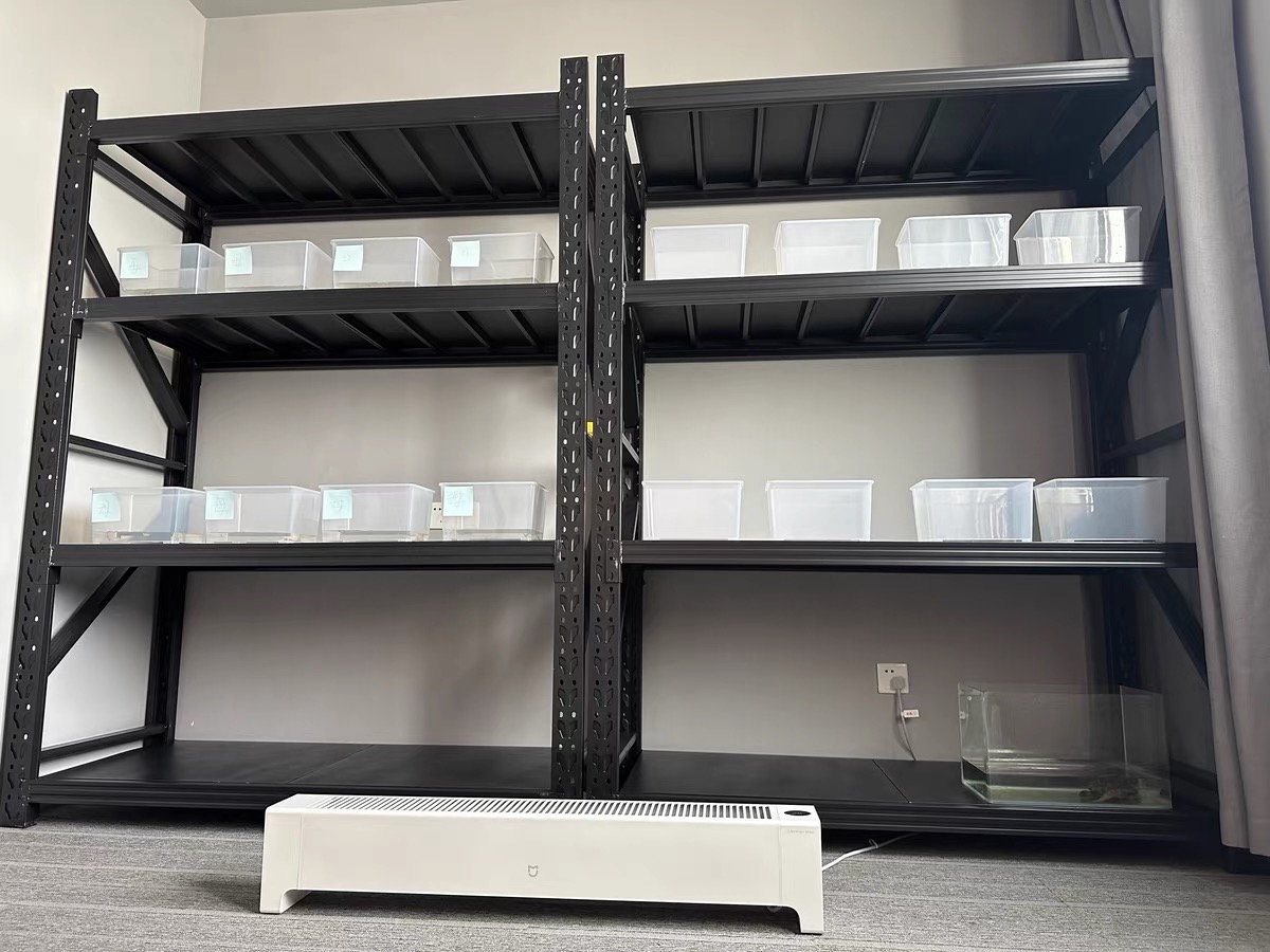 2M*2M*0.6M Heavy Duty Storage Metal Garage Shelving Unit 4-Tier - Black/White